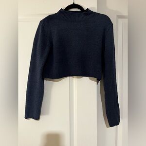Wild Fable Crop Knit Sweater